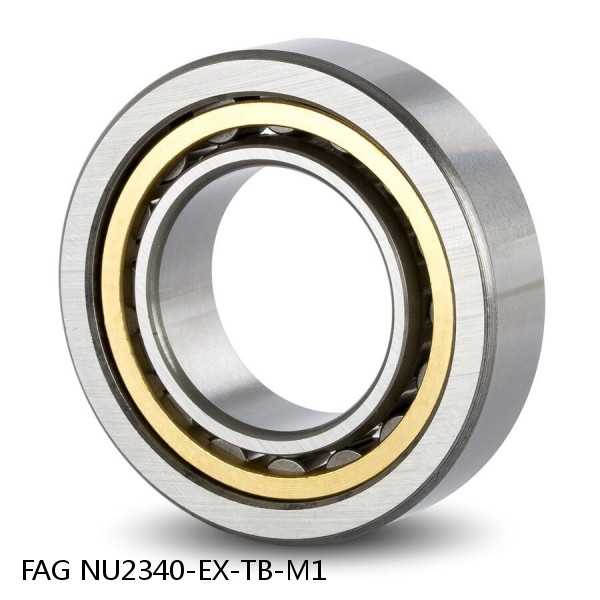 200 mm x 420 mm x 138 mm  FAG NU2340-EX-TB-M1  Cylindrical Roller Bearings