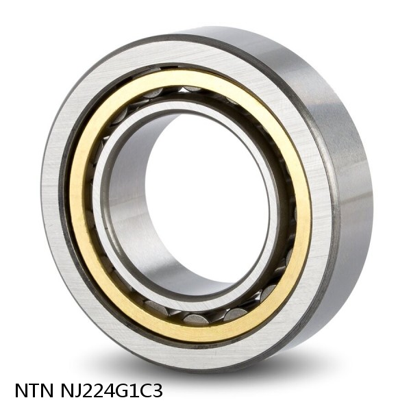 4.724 Inch | 120 Millimeter x 8.465 Inch | 215 Millimeter x 1.575 Inch | 40 Millimeter  NTN NJ224G1C3  Cylindrical Roller Bearings