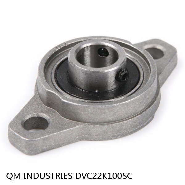 QM INDUSTRIES DVC22K100SC  Flange Block Bearings