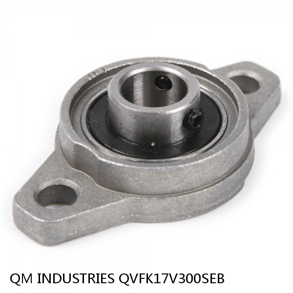 QM INDUSTRIES QVFK17V300SEB  Flange Block Bearings