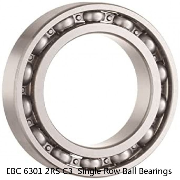 EBC 6301 2RS C3  Single Row Ball Bearings