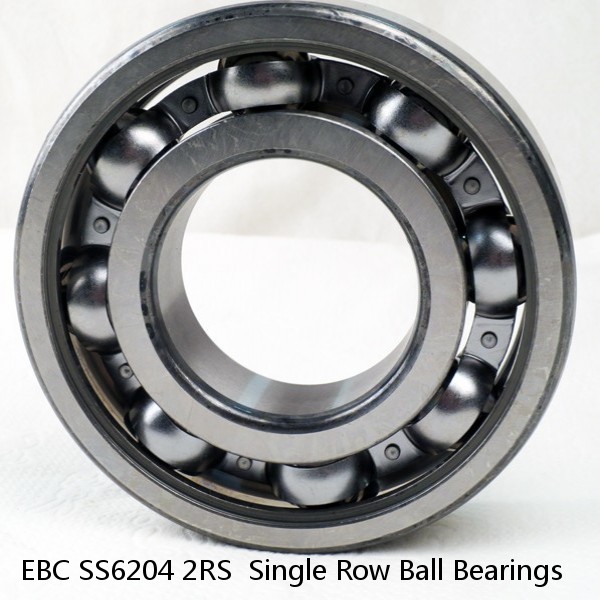 EBC SS6204 2RS  Single Row Ball Bearings