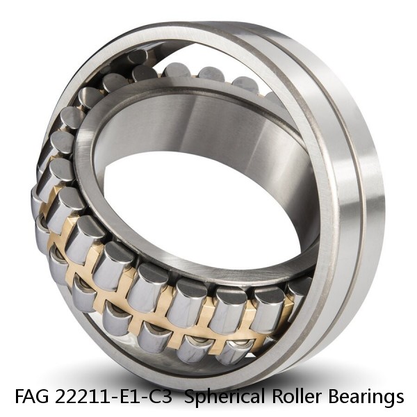 FAG 22211-E1-C3  Spherical Roller Bearings