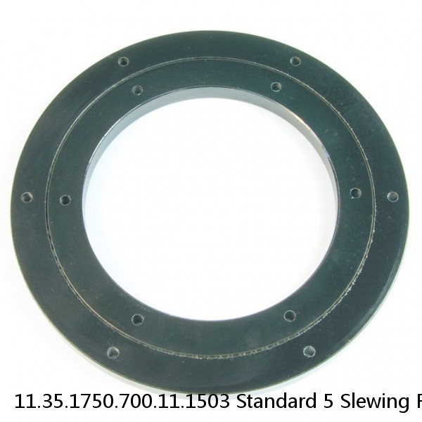 11.35.1750.700.11.1503 Standard 5 Slewing Ring Bearings