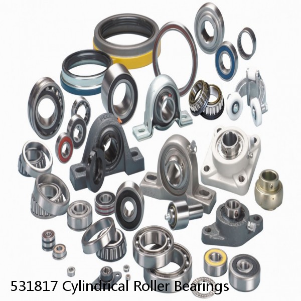 531817 Cylindrical Roller Bearings