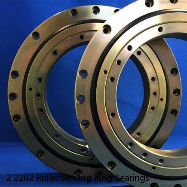 2 2202 Rollix Slewing Ring Bearings