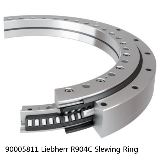 90005811 Liebherr R904C Slewing Ring