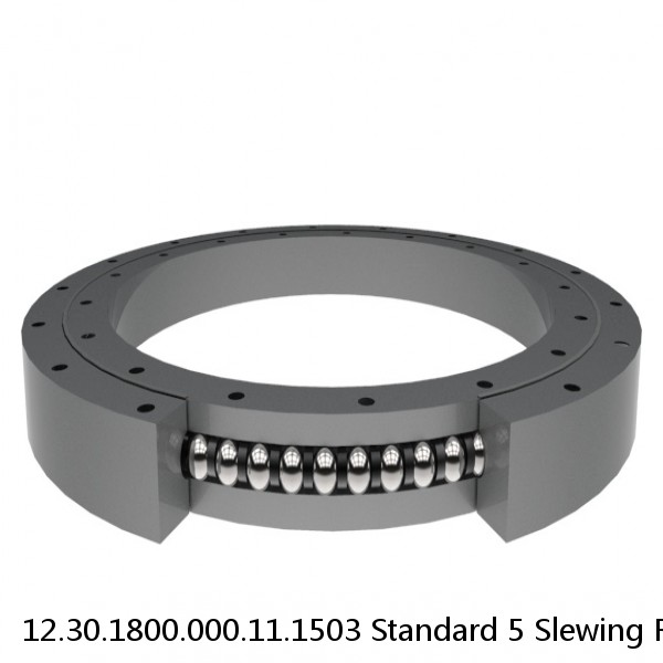 12.30.1800.000.11.1503 Standard 5 Slewing Ring Bearings