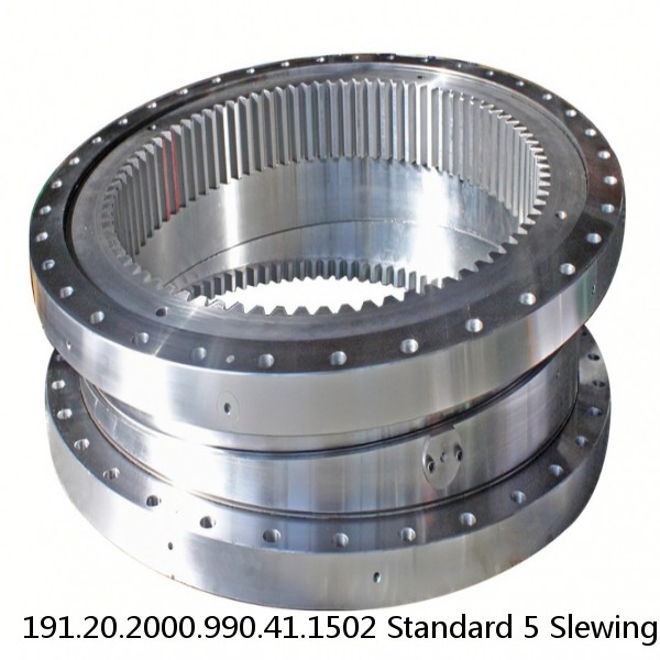 191.20.2000.990.41.1502 Standard 5 Slewing Ring Bearings