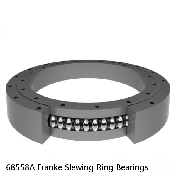 68558A Franke Slewing Ring Bearings