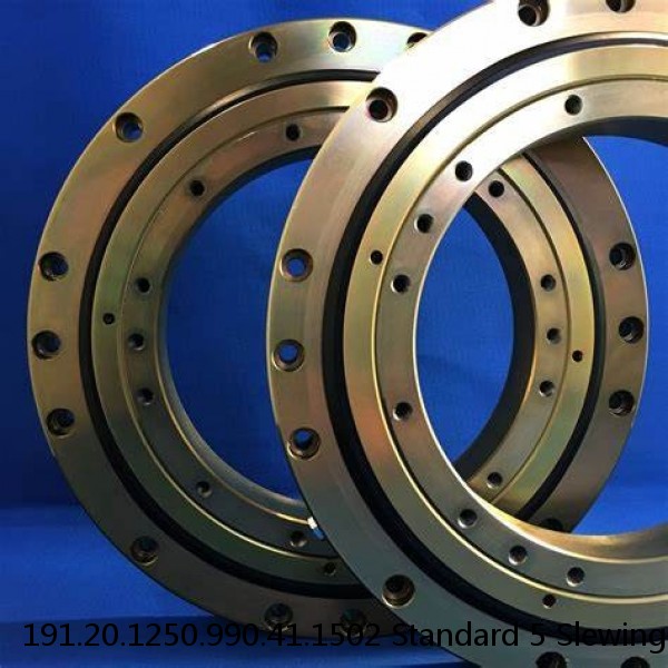 191.20.1250.990.41.1502 Standard 5 Slewing Ring Bearings