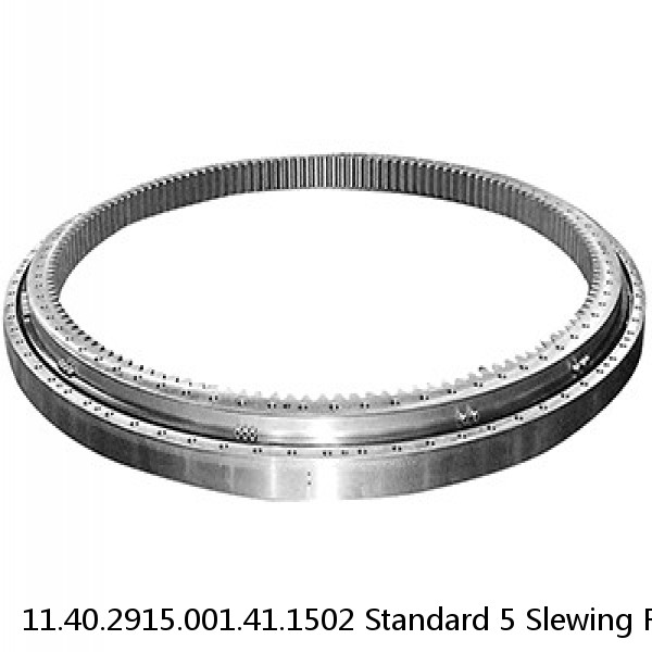 11.40.2915.001.41.1502 Standard 5 Slewing Ring Bearings