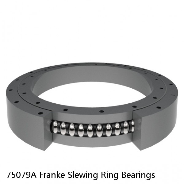 75079A Franke Slewing Ring Bearings