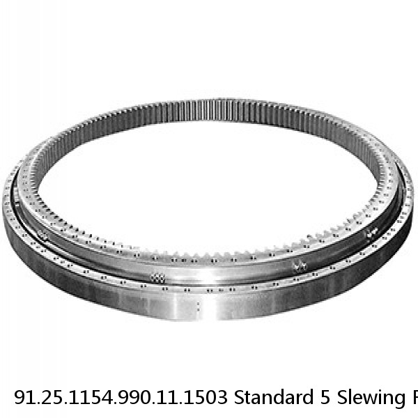 91.25.1154.990.11.1503 Standard 5 Slewing Ring Bearings