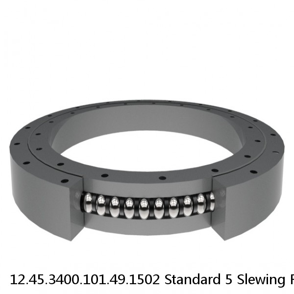 12.45.3400.101.49.1502 Standard 5 Slewing Ring Bearings