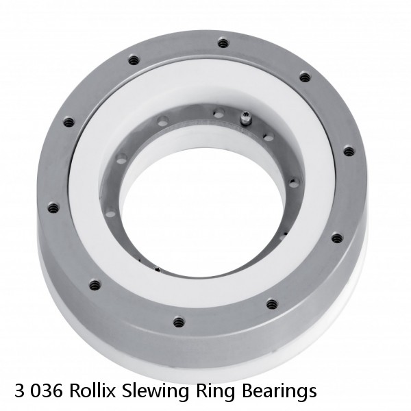 3 036 Rollix Slewing Ring Bearings