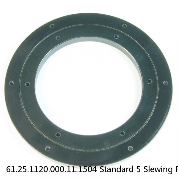 61.25.1120.000.11.1504 Standard 5 Slewing Ring Bearings