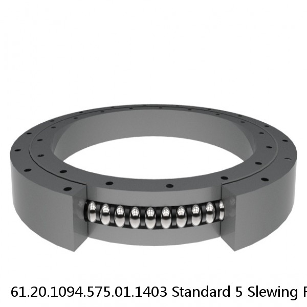 61.20.1094.575.01.1403 Standard 5 Slewing Ring Bearings