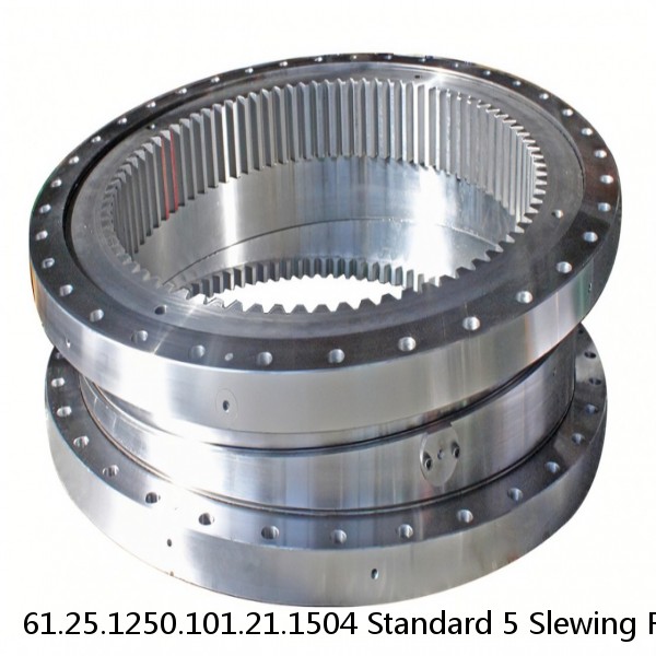 61.25.1250.101.21.1504 Standard 5 Slewing Ring Bearings