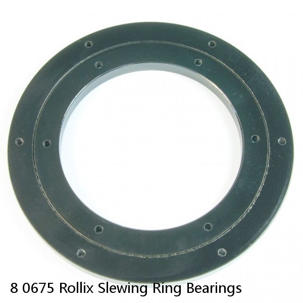 8 0675 Rollix Slewing Ring Bearings