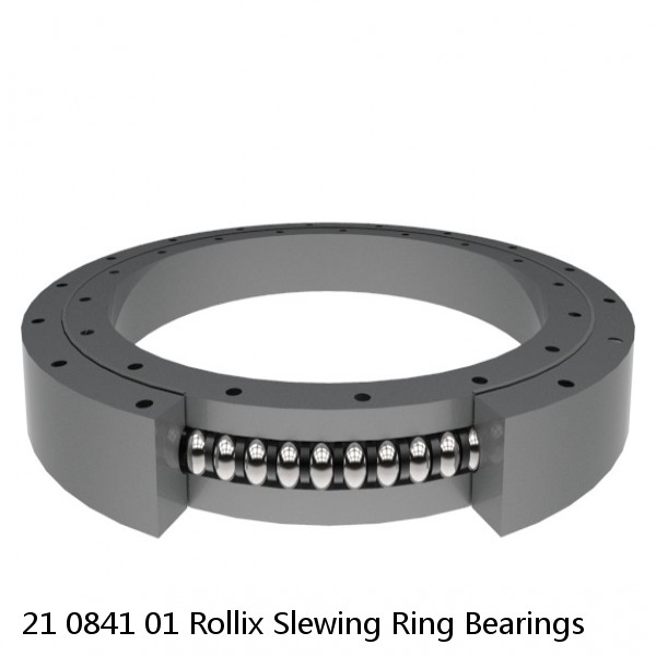 21 0841 01 Rollix Slewing Ring Bearings