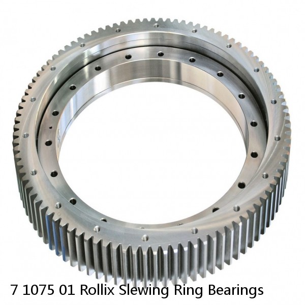 7 1075 01 Rollix Slewing Ring Bearings