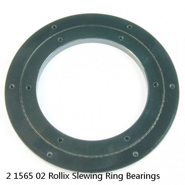 2 1565 02 Rollix Slewing Ring Bearings