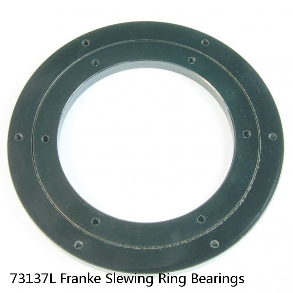 73137L Franke Slewing Ring Bearings