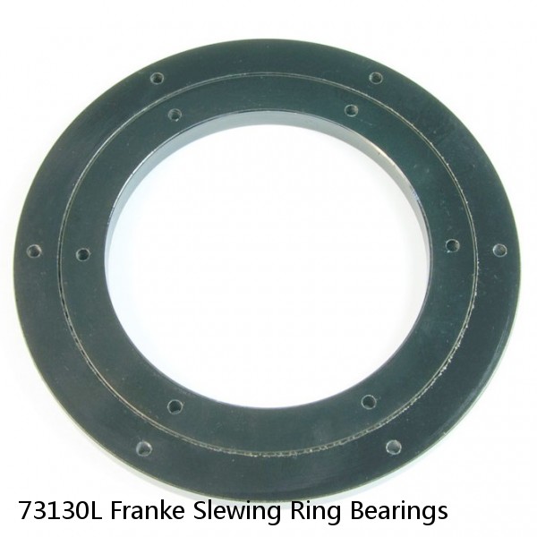 73130L Franke Slewing Ring Bearings