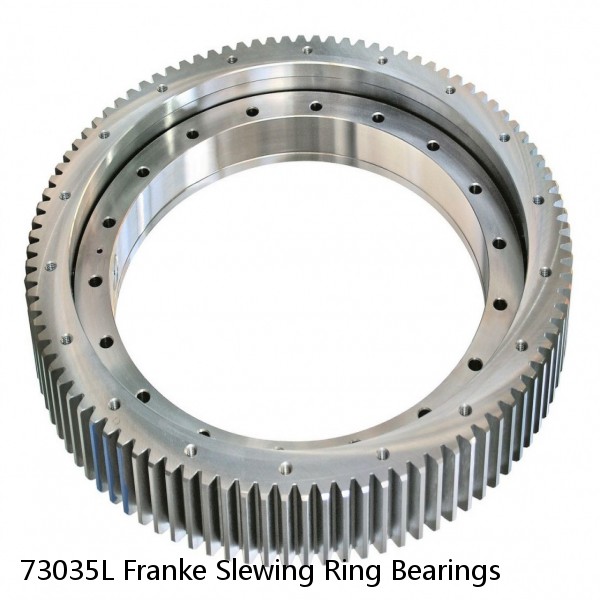 73035L Franke Slewing Ring Bearings