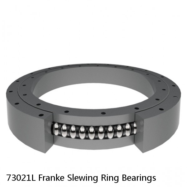 73021L Franke Slewing Ring Bearings