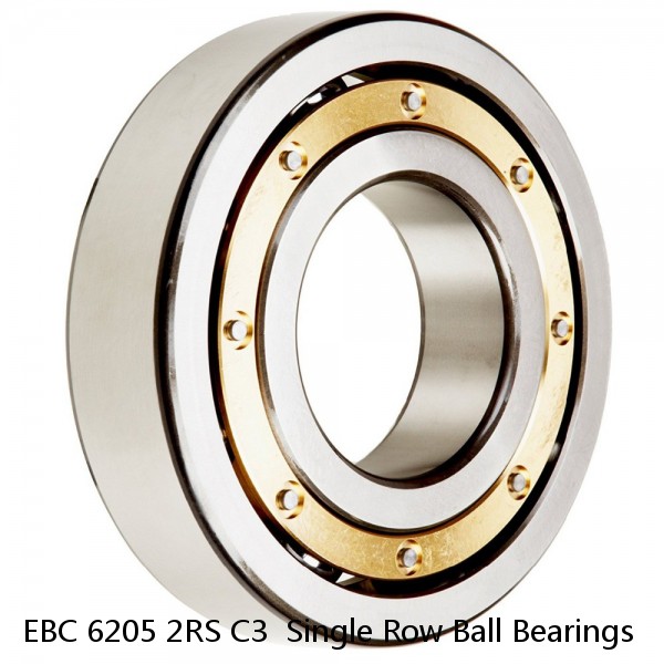 EBC 6205 2RS C3  Single Row Ball Bearings