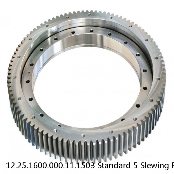 12.25.1600.000.11.1503 Standard 5 Slewing Ring Bearings